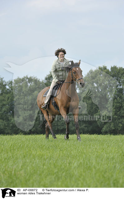 woman rides Trakehner / AP-08872