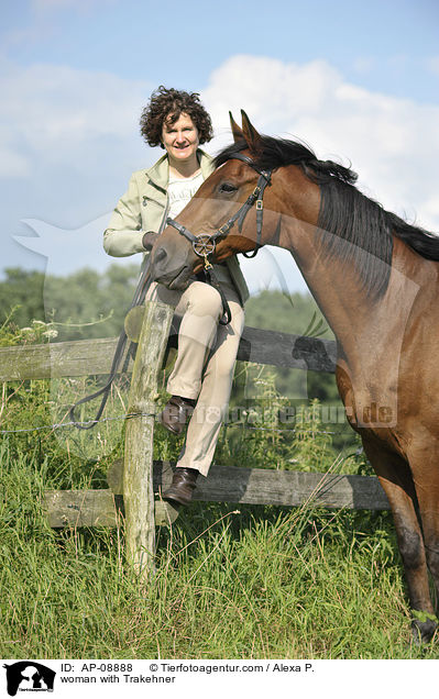 Frau mit Trakehner / woman with Trakehner / AP-08888