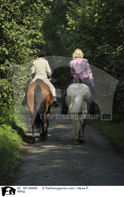 Ausritt / riding / AP-08890