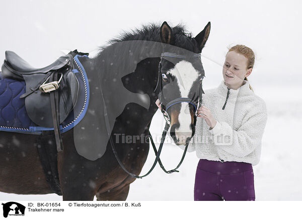 Trakehner Stute / Trakehner mare / BK-01654