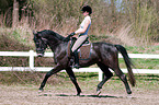 woman rides Trakehner