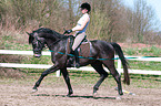 woman rides Trakehner