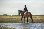 woman rides Trakehner
