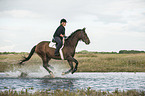 woman rides Trakehner