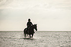 woman rides Trakehner