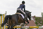 Trakehner mare