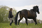 Trakehner mare