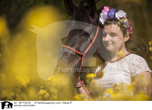 Frau und Traber / woman and trotter / AP-13516