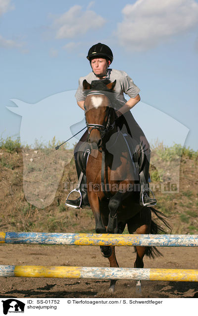 Springen / showjumping / SS-01752