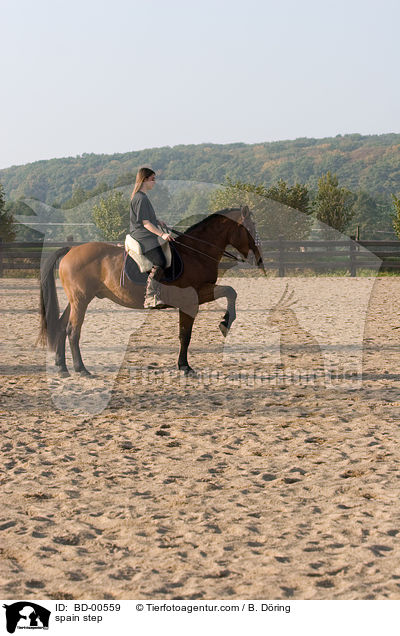 Spanischer Schritt / spain step / BD-00559