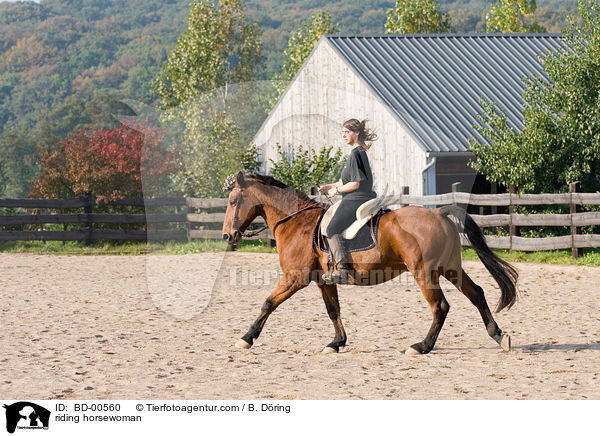 Reiterin auf Pferd / riding horsewoman / BD-00560