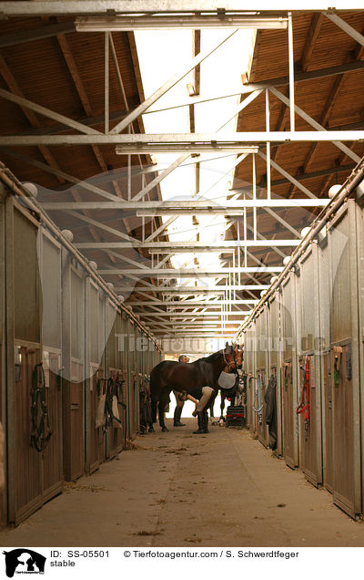 stable / SS-05501