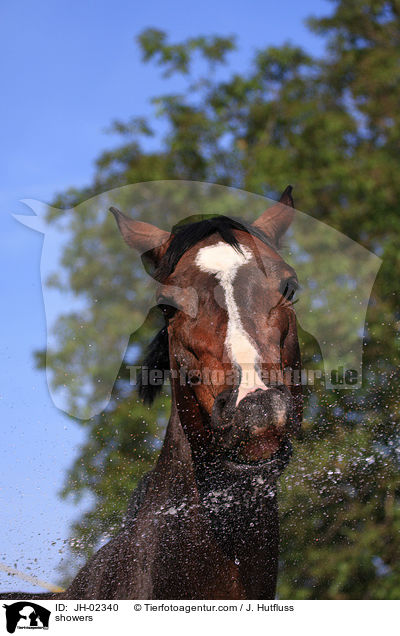 duschen / showers / JH-02340