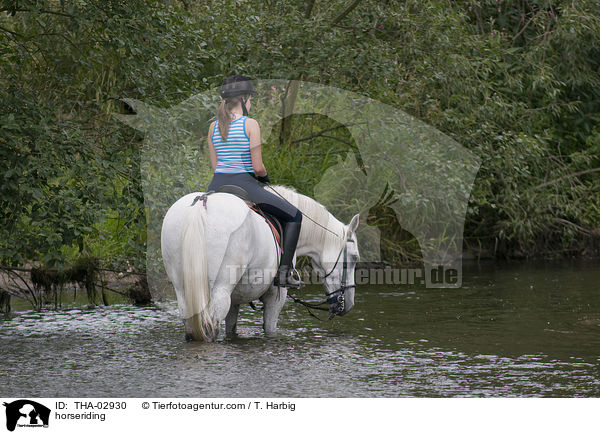 Pferd und Reiter / horseriding / THA-02930