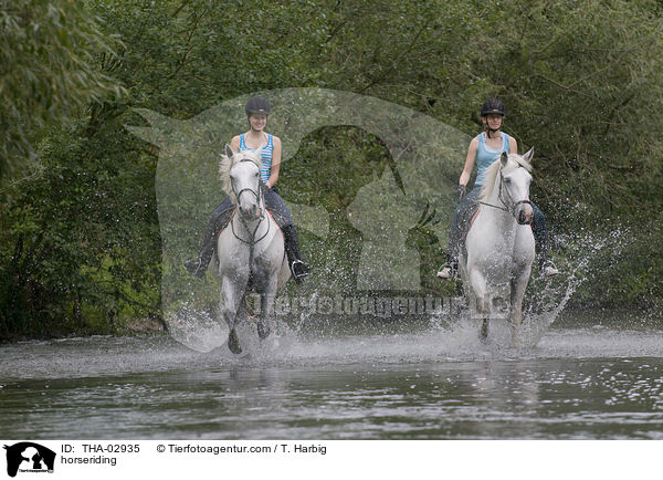 Pferd und Reiter / horseriding / THA-02935