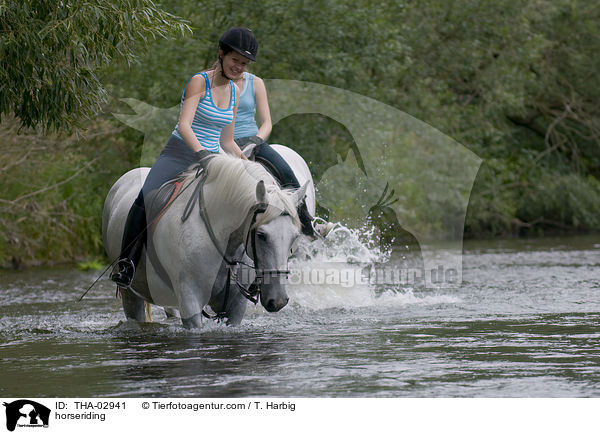 Pferd und Reiter / horseriding / THA-02941