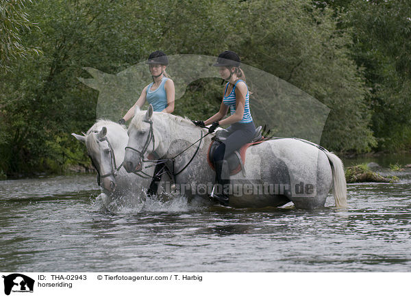 Pferd und Reiter / horseriding / THA-02943