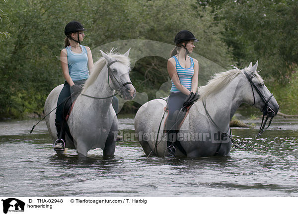 Pferd und Reiter / horseriding / THA-02948