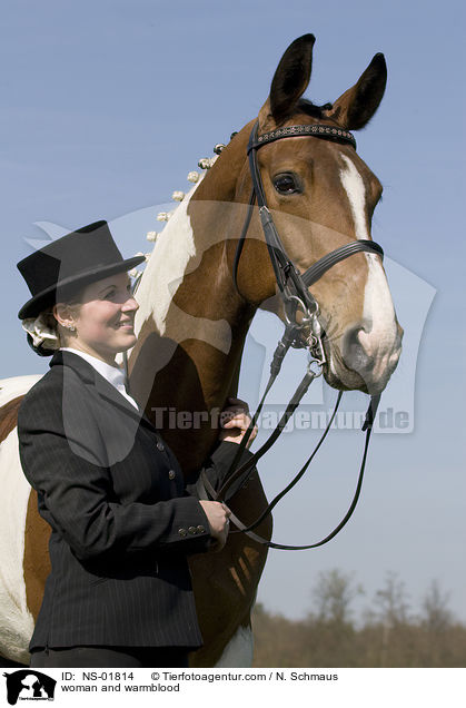 Frau und Warmblut / woman and warmblood / NS-01814