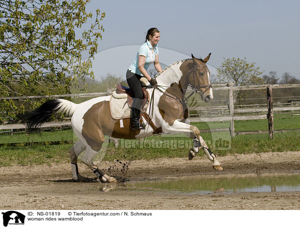 Frau reitet Warmblut / woman rides warmblood / NS-01819