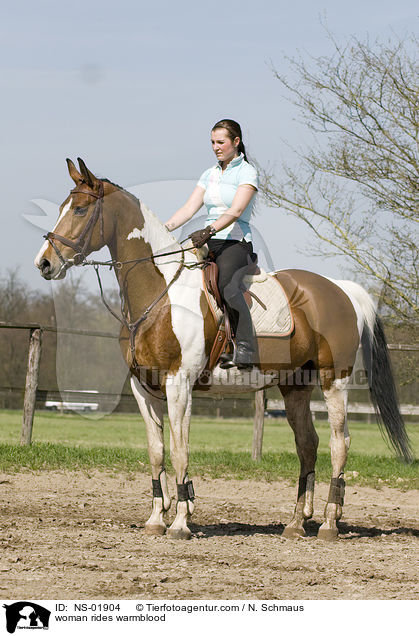 Frau reitet Warmblut / woman rides warmblood / NS-01904