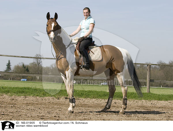 Frau reitet Warmblut / woman rides warmblood / NS-01905
