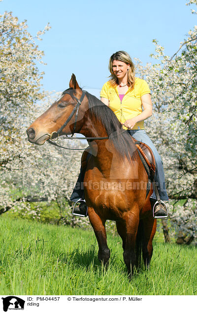 Freizeitreiten / riding / PM-04457