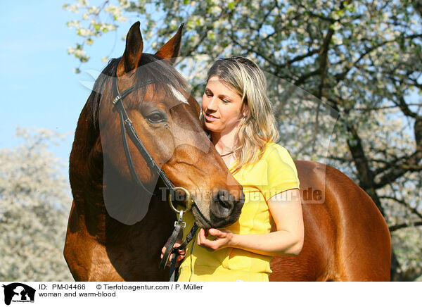 Frau und Warmblut / woman and warm-blood / PM-04466