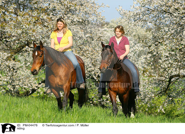 Freizeitreiten / riding / PM-04476