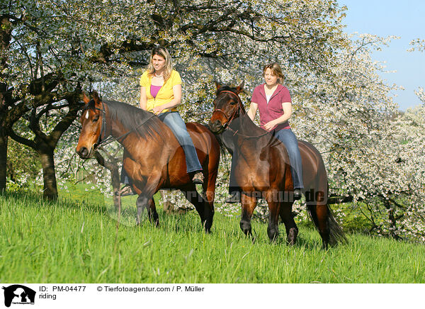 Freizeitreiten / riding / PM-04477