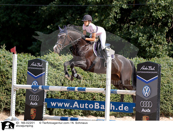 showjumping / NS-02201