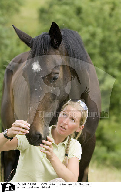 Frau und Warmblut / woman and warm-blood / NS-02207