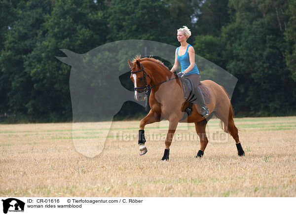 Frau reitet Warmblut / woman rides warmblood / CR-01616