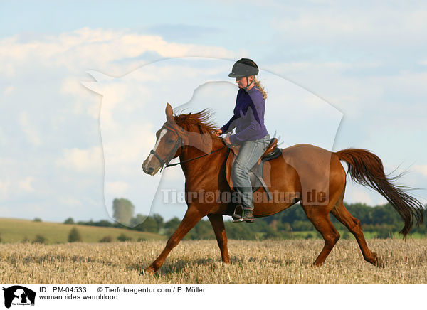 Frau reitet Warmblut / woman rides warmblood / PM-04533