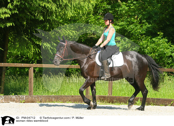 Frau reitet Warmblut / woman rides warmblood / PM-04712
