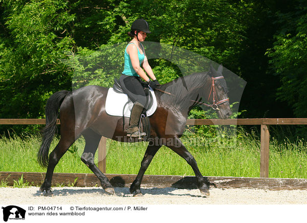 Frau reitet Warmblut / woman rides warmblood / PM-04714