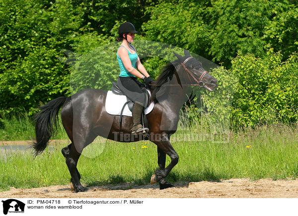 Frau reitet Warmblut / woman rides warmblood / PM-04718