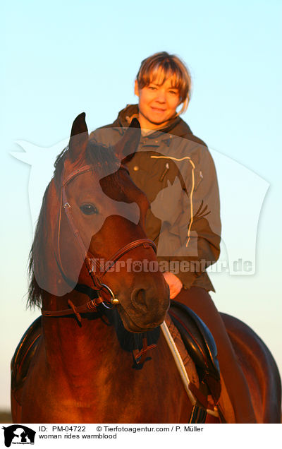 Frau reitet Warmblut / woman rides warmblood / PM-04722