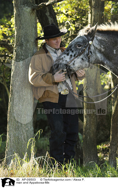 Mann und Appaloosa-Mix / man and Appaloosa-Mix / AP-09503
