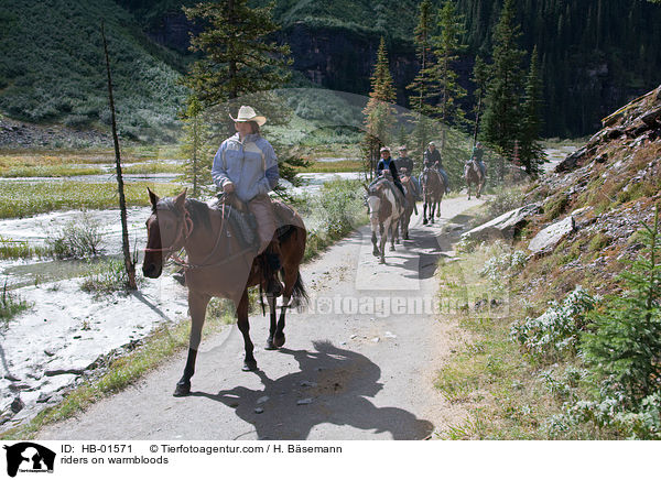 Reiter auf Warmbltern / riders on warmbloods / HB-01571