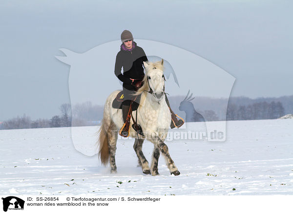 Frau reitet Warmblut / woman rides warmblood / SS-26854