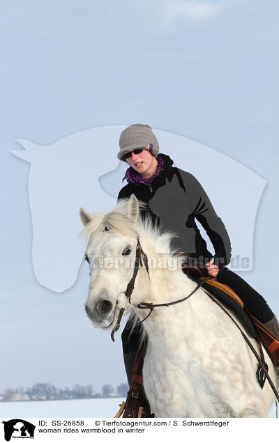 Frau reitet Warmblut / woman rides warmblood / SS-26858