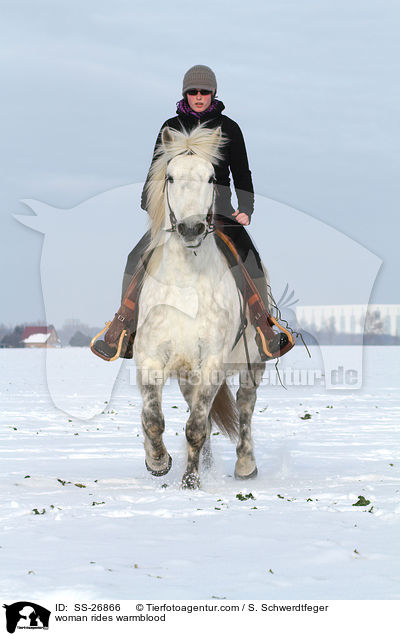 Frau reitet Warmblut / woman rides warmblood / SS-26866