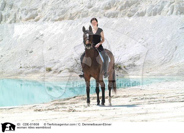 Frau reitet Warmblut / woman rides warmblood / CDE-01608