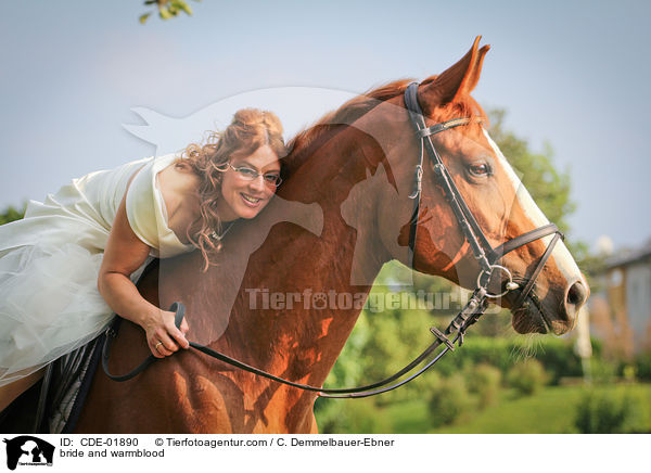 Braut und Warmblut / bride and warmblood / CDE-01890