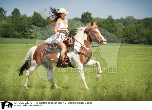 Frau reitet Warmblut / woman rides warmblood / CDE-02012