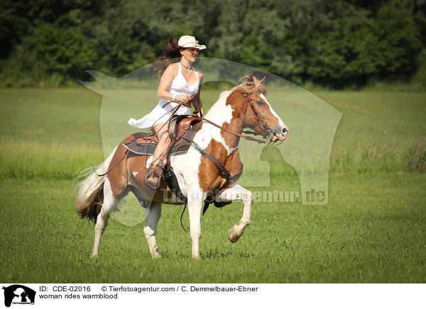 woman rides warmblood / CDE-02016