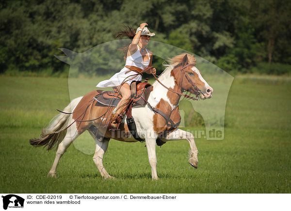 Frau reitet Warmblut / woman rides warmblood / CDE-02019