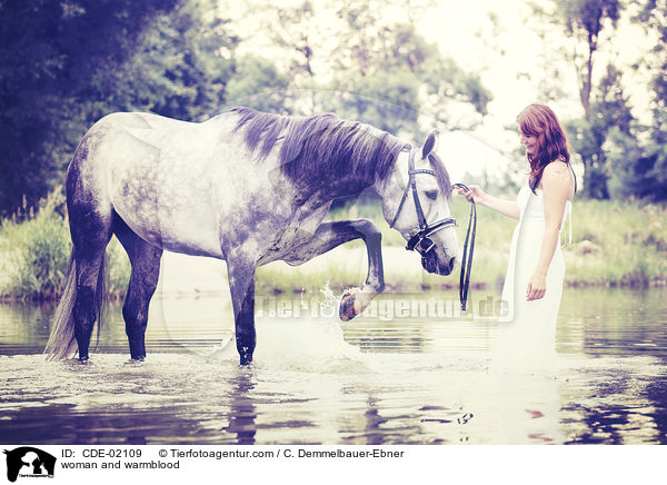 Frau und Warmblut / woman and warmblood / CDE-02109