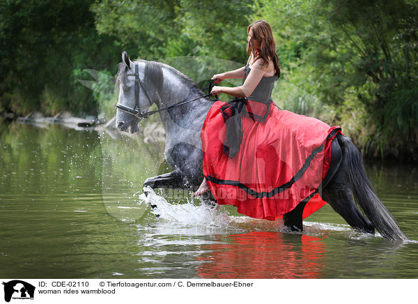 Frau reitet Warmblut / woman rides warmblood / CDE-02110